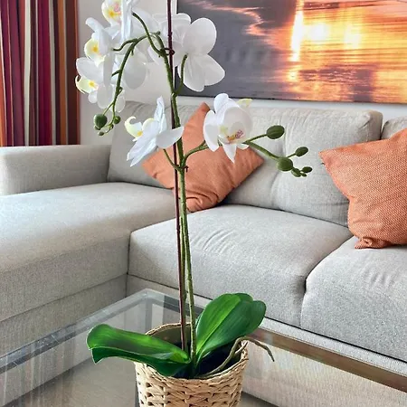 Διαμέρισμα Living Brisas Maspalomas Sunny Maspalomas Πλάγια ντελ Ινγκλές