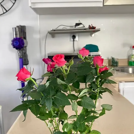 Living Brisas Maspalomas Sunny Maspalomas * Πλάγια ντελ Ινγκλές